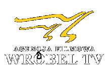 wróbel tv